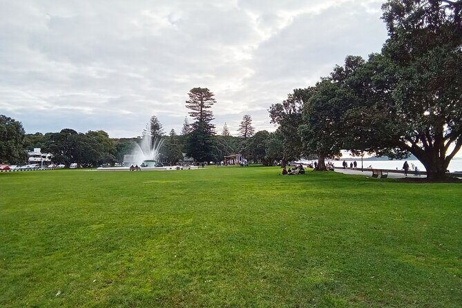 Auckland City Highlights Private Tour - Final Thoughts