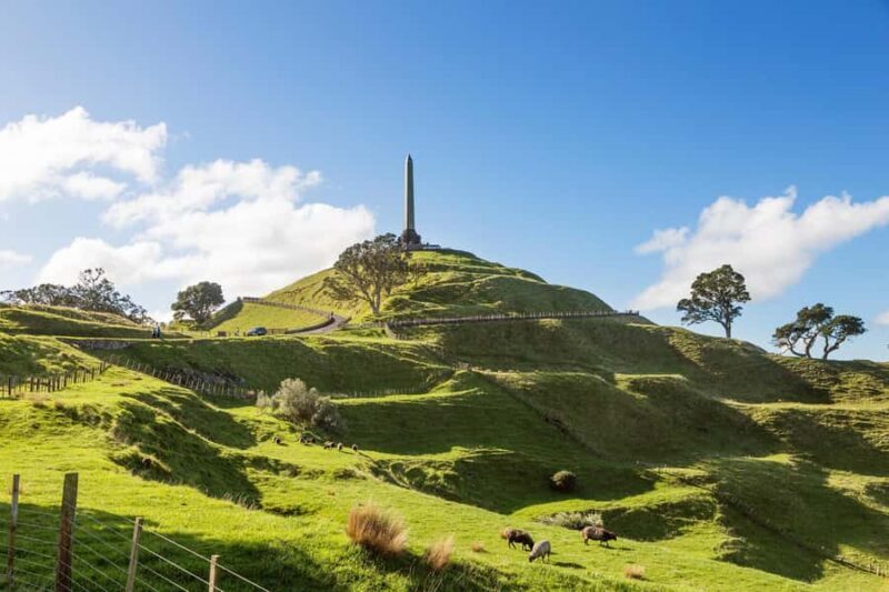 Auckland: City Highlights Private Tour - Key Points: