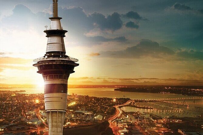 Auckland City Highlights Private Tour - Key Points