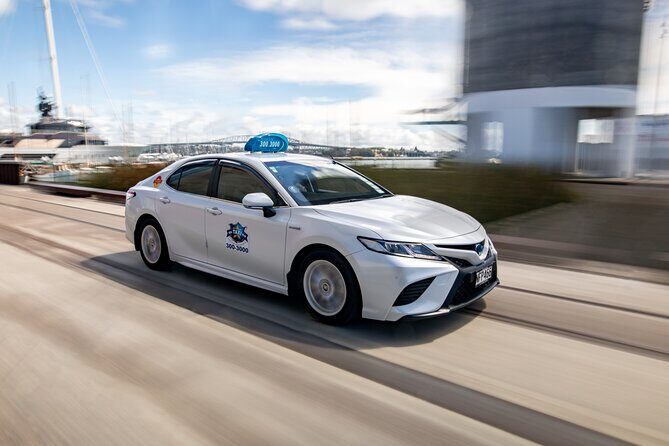 Auckland City Highlights Tour by Car or Van - The Value of a Short Guided Tour