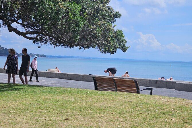 Auckland City Highlights Tour - Who Will Love This Tour?