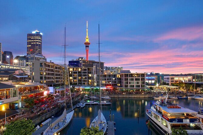 Auckland City Hotel to Cruise Ship Transfer by SUV - Final Thoughts