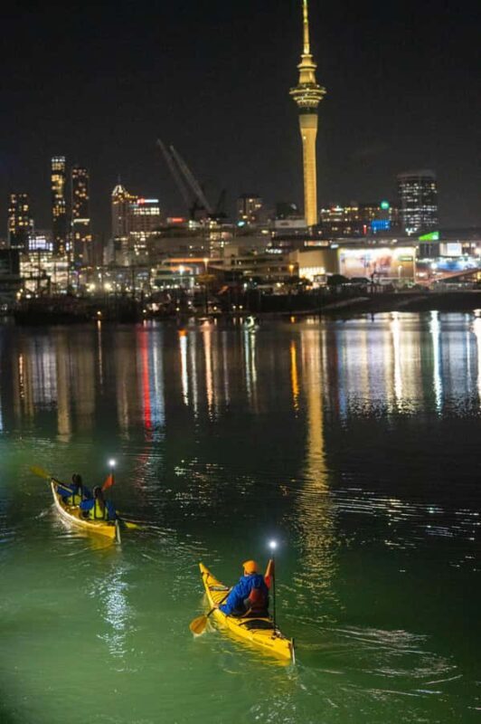 Auckland: City Lights Night Kayak Tour - An In-Depth Look at the Auckland Night Kayak Experience
