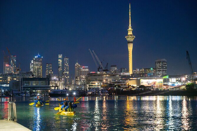 Auckland City Lights Night Kayaking Tour - Key Points