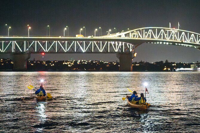 Auckland City Lights Night Kayaking Tour - What to Expect on the Auckland City Lights Night Kayaking Tour