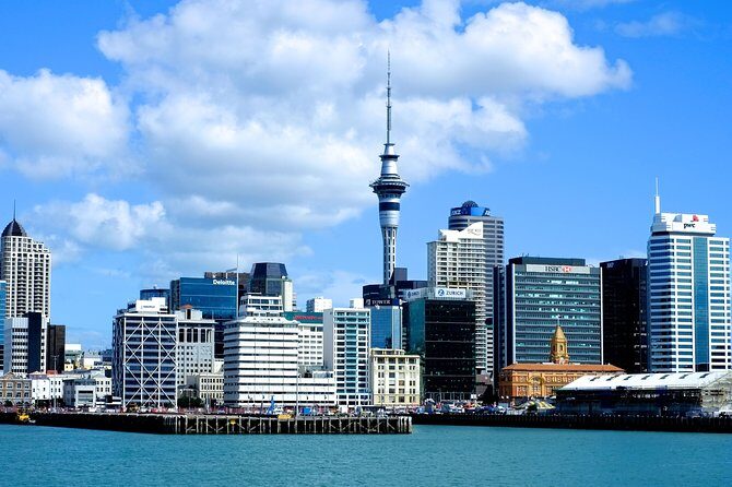Auckland City & Native Forest Experience - Fully Guided Day Tour - Key Points