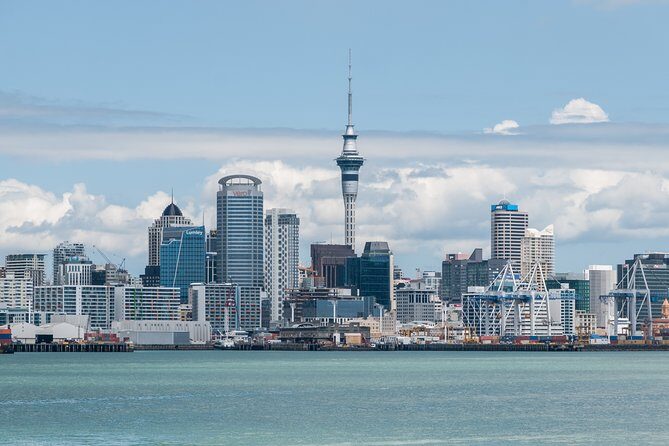 Auckland City & Native Forest Experience - Fully Guided Day Tour - What Sets This Tour Apart?