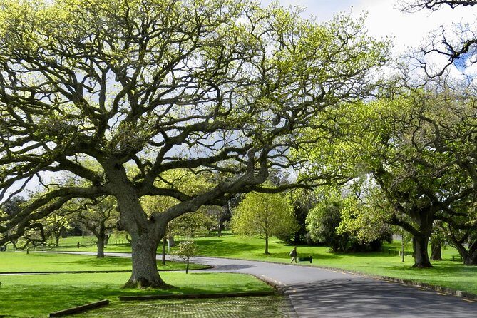 Auckland City Private Tour for Couples. Be chauffeur driven with added extras. - Analyzing the Value and Suitability