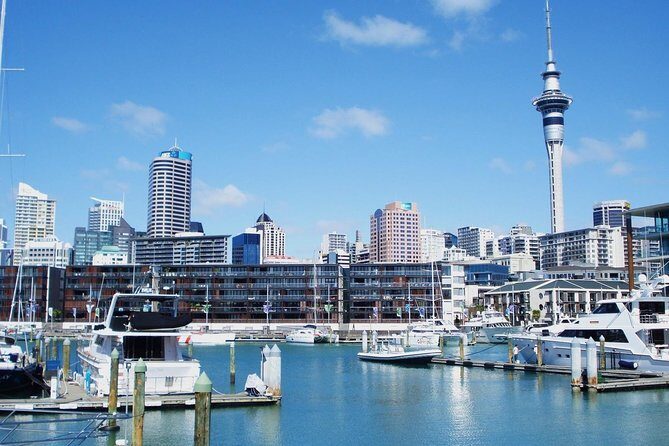 Auckland City Private Tour for Couples. Be chauffeur driven with added extras. - Who Will Enjoy This Tour?
