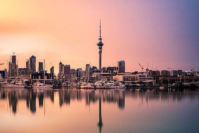 Auckland City Small-Group Morning Discovery Tour - Practical Details and Tips