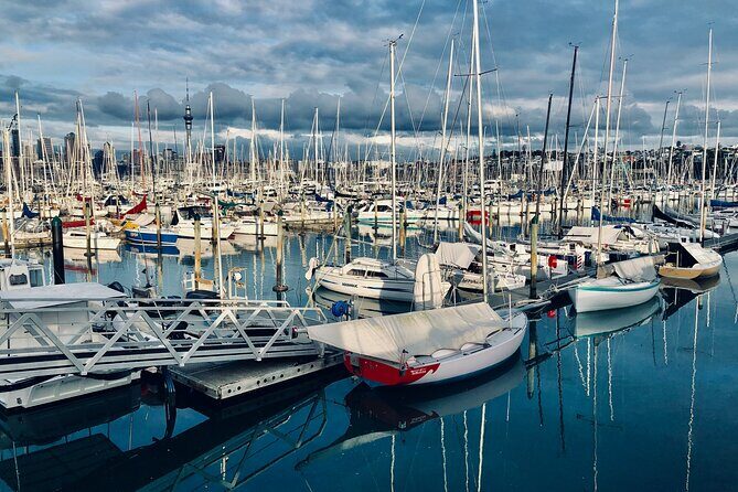 Auckland City Top Sights Half Day Tour - Small Group - Key Points