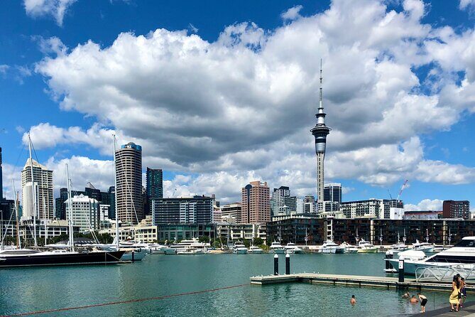 Auckland City Top Sights Half Day Tour - Small Group - A Closer Look at the Itinerary and Experience