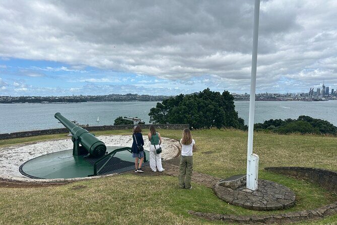 Auckland City Top Sights Half Day Tour - Small Group - Who Should Consider This Tour?