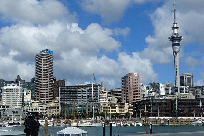 Auckland City Top Sights Half Day Tour - Small Group - FAQ