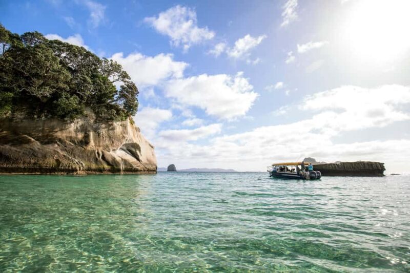 Auckland: Coromandel Driving Creek & Cathedral Cove Day Tour - Insights from Real Travelers