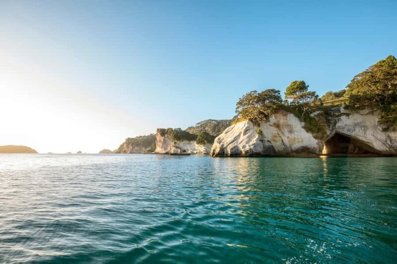 Auckland: Coromandel Driving Creek & Cathedral Cove Day Tour - FAQs