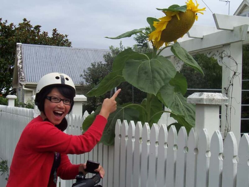 Auckland: Devonport Village Segway Tour - What to Expect on the Tour