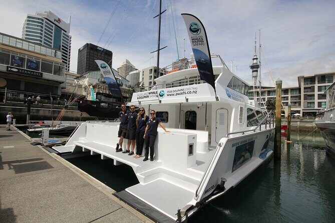 Auckland Dolphin and Whale Watching Eco-Safari Cruise - How to Value This Tour
