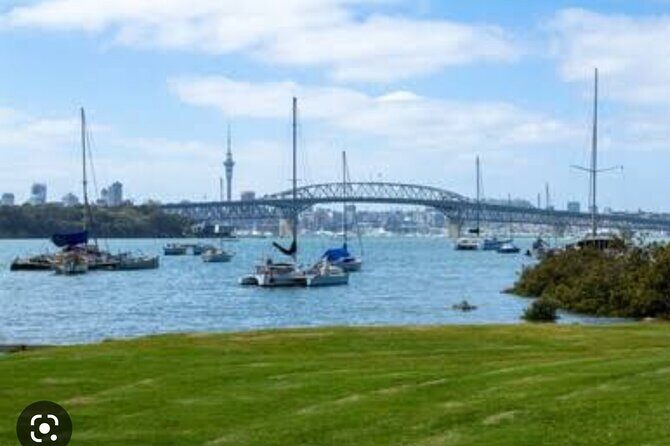 Auckland Full Day Attractions & Museums Tour - Analyzing the Value