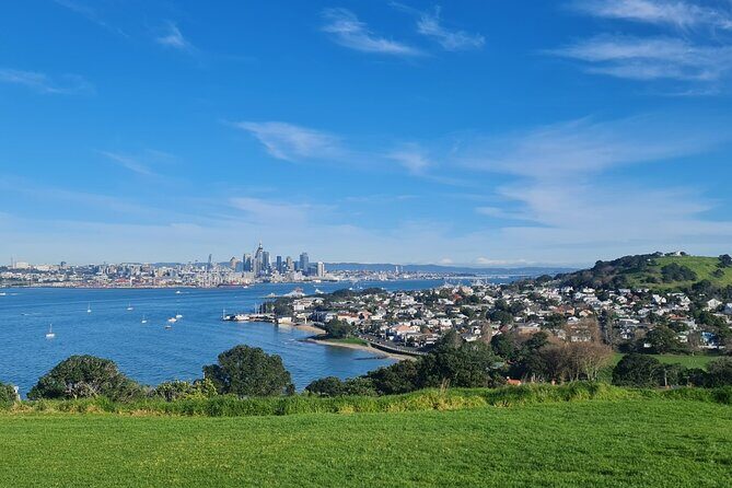 Auckland Full Day Attractions & Museums Tour - Who Will Love This Tour?