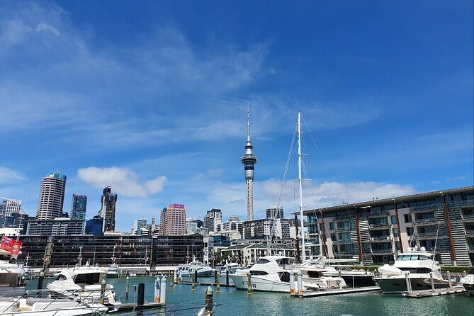 Auckland Full Day Attractions & Museums Tour - Final Thoughts