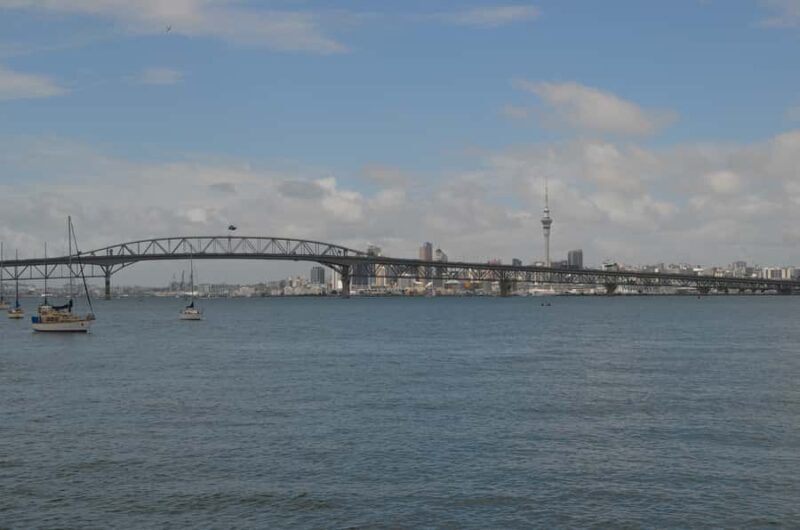 Auckland: Full-Day City Highlights Tour - Key Points