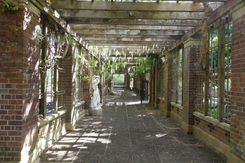 Auckland: Full-Day City Highlights Tour - The Value of the Experience