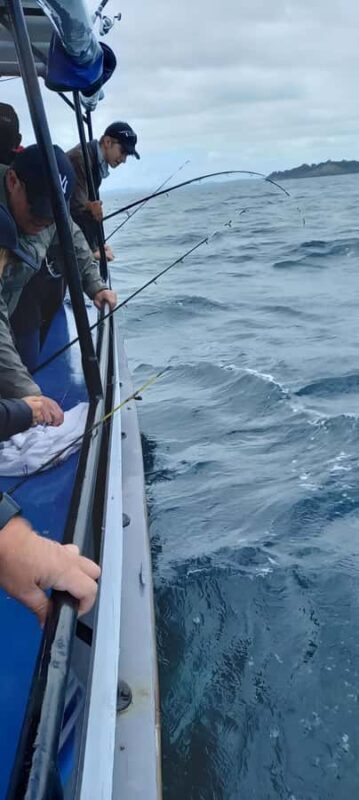 Auckland: Full-Day Fishing Charter (7 am - 4 pm) - Final Thoughts: Is It Worth It?