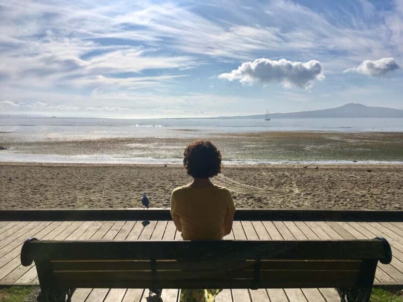 Auckland: Half-Day Auckland Volcanoes Tour - Transport, Group Size, and Value