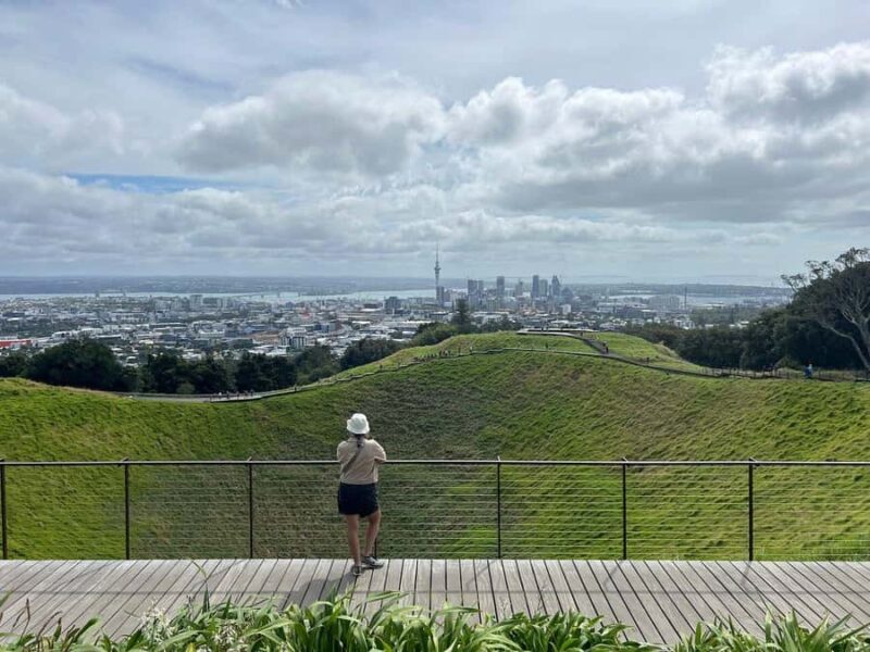 Auckland: Half-Day Auckland Volcanoes Tour - Authentic Insights from Reviews
