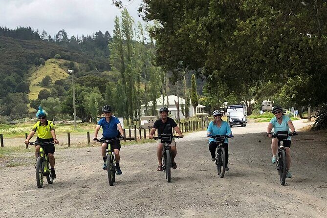 Auckland Half Day E-Bike Excursion - What the Reviews Say