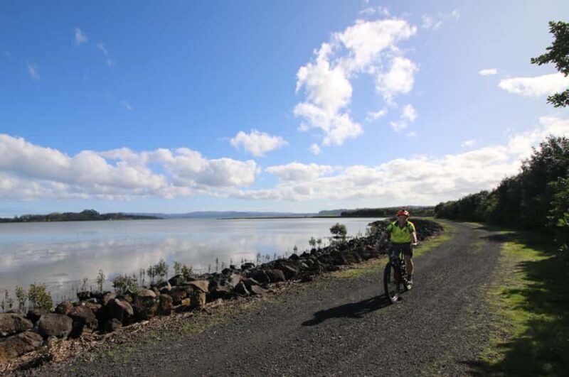 Auckland Half-Day Ebike Tour Excursion - Key Points