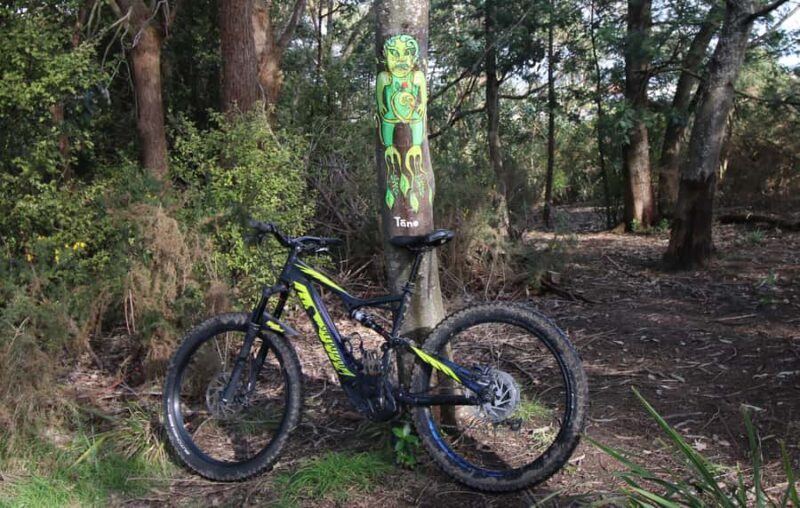 Auckland Half-Day Ebike Tour Excursion - Detailed Breakdown of the Itinerary