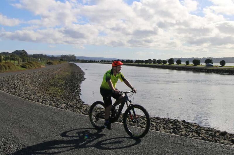 Auckland Half-Day Ebike Tour Excursion - Who Should Consider This Tour?