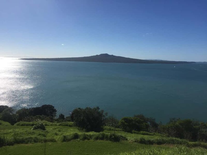 Auckland: Half-Day Private City Highlights Tour - Auckland: Half-Day Private City Highlights Tour — A Thorough Look