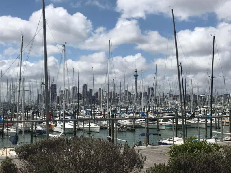 Auckland: Half-Day Private City Highlights Tour - Transportation and Group Dynamics