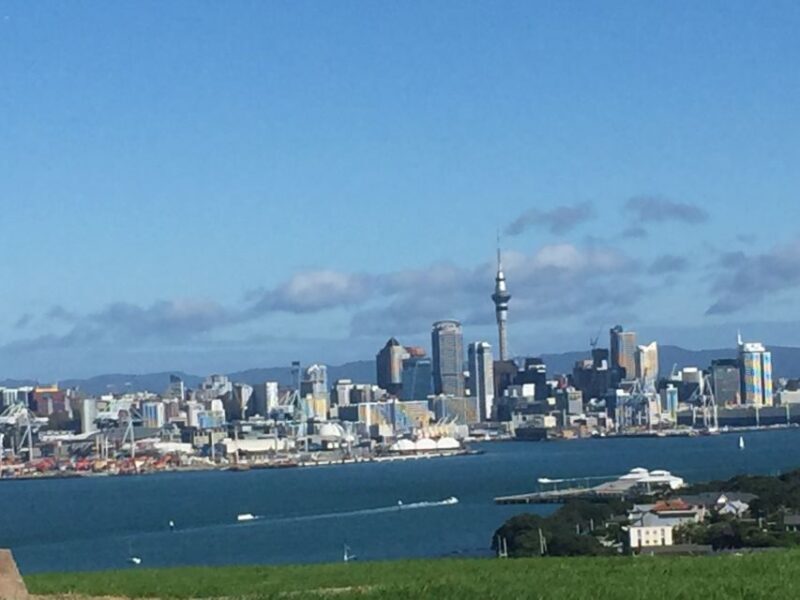Auckland: Half-Day Private City Highlights Tour - Value and Pricing