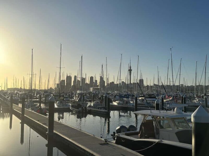 Auckland: Half-Day Private City Highlights Tour - FAQs