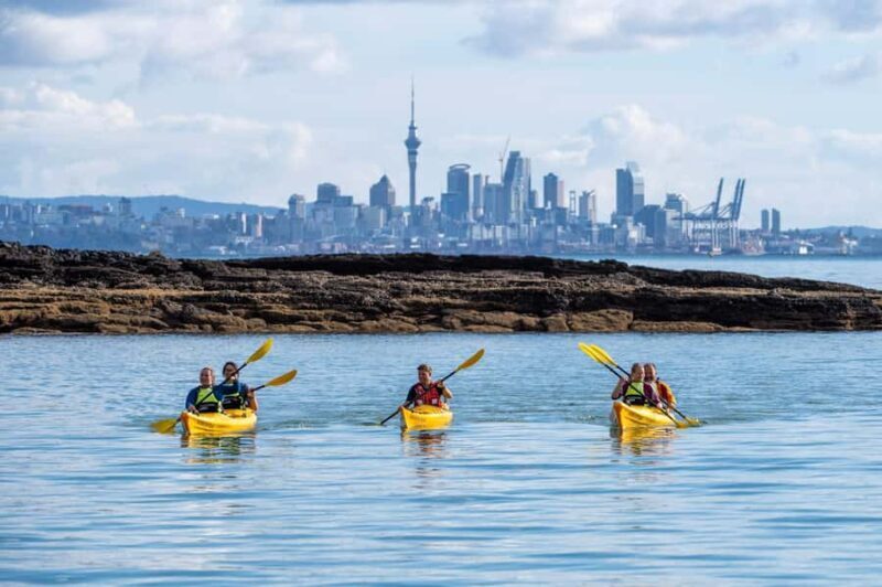 Auckland: Half-Day Sea Kayak Tour to Motukorea Island - Key Points