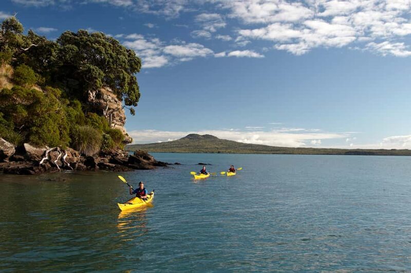 Auckland: Half-Day Sea Kayak Tour to Motukorea Island - An honest look at the experience