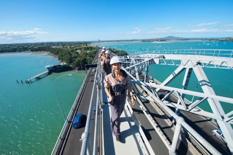 Auckland Harbour Bridge Climb & Bungy Combo - What Does the Price Get You?