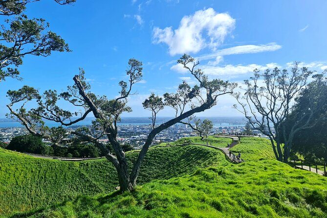 Auckland Hidden Gem Half Day Tour - An In-Depth Look at the Auckland Hidden Gem Half Day Tour