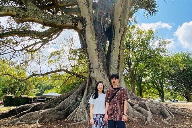 Auckland Highlights 4 Hrs city Tour - A Closer Look at the Itinerary