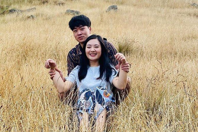 Auckland Highlights 4 Hrs city Tour - Pricing & Value Analysis