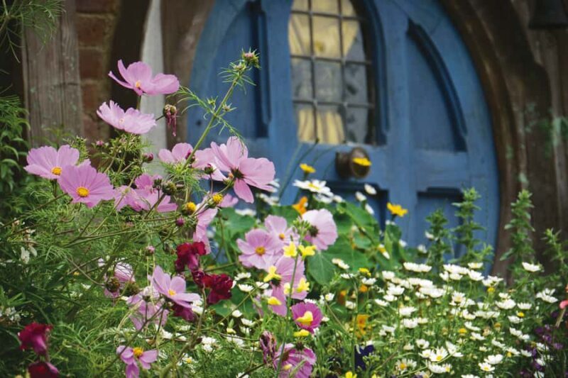 Auckland: Hobbiton and Rotorua Day Tour including Te Puia - Practical Details & Tips