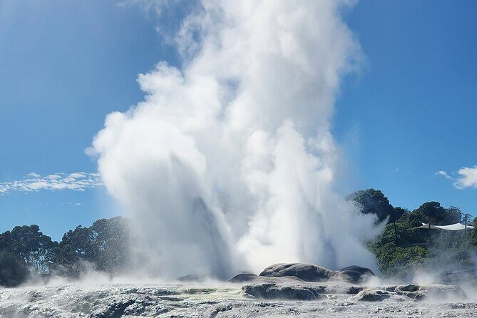 Auckland : Hobbiton & Te puia & red wood forest Private Tour - Practical Considerations