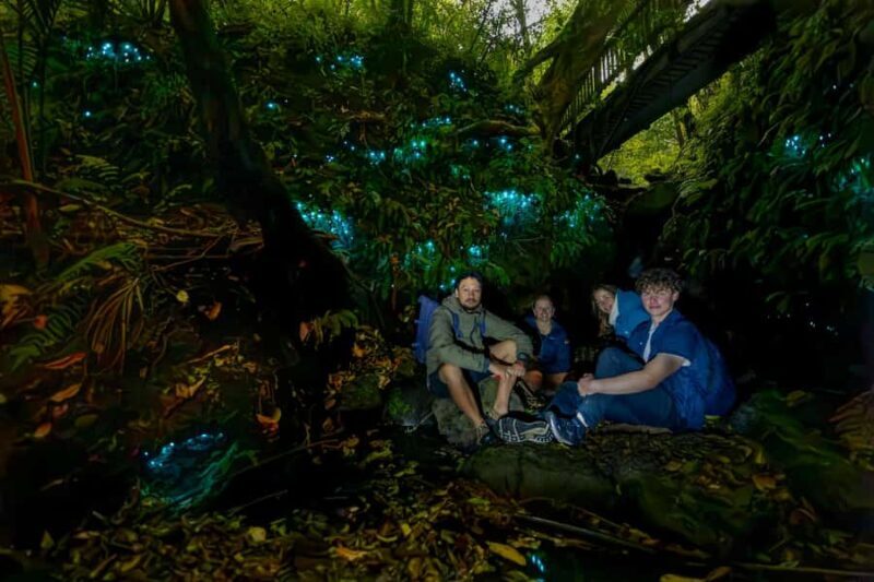 Auckland: Inner-City Glowworm Experience in Ancient Volcano - Key Points