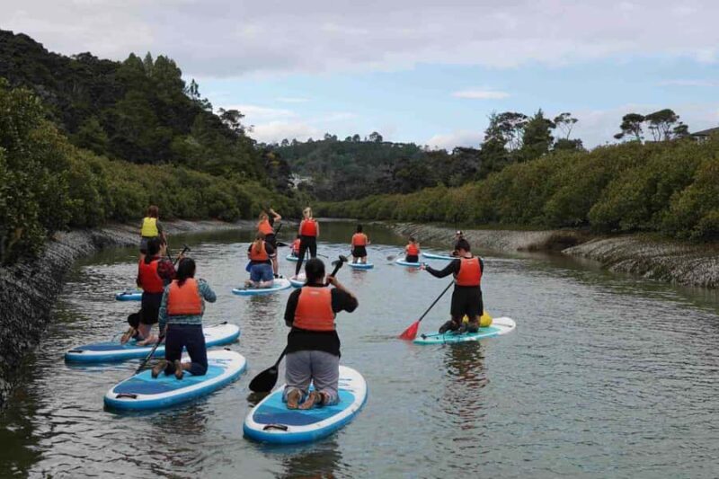 Auckland: Lucas Creek Waterfall SuP Tour - What Makes This Tour Stand Out