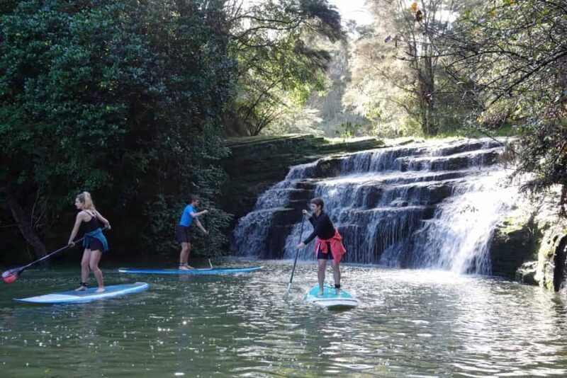 Auckland: Lucas Creek Waterfall SuP Tour - The Value of This Tour