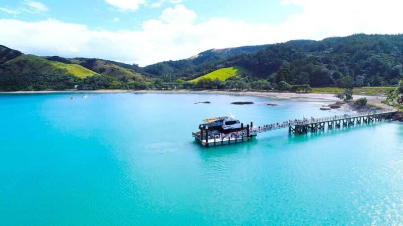 Auckland: Man O' War Vineyard Ferry (Waiheke Island) - Practical Details and Tips